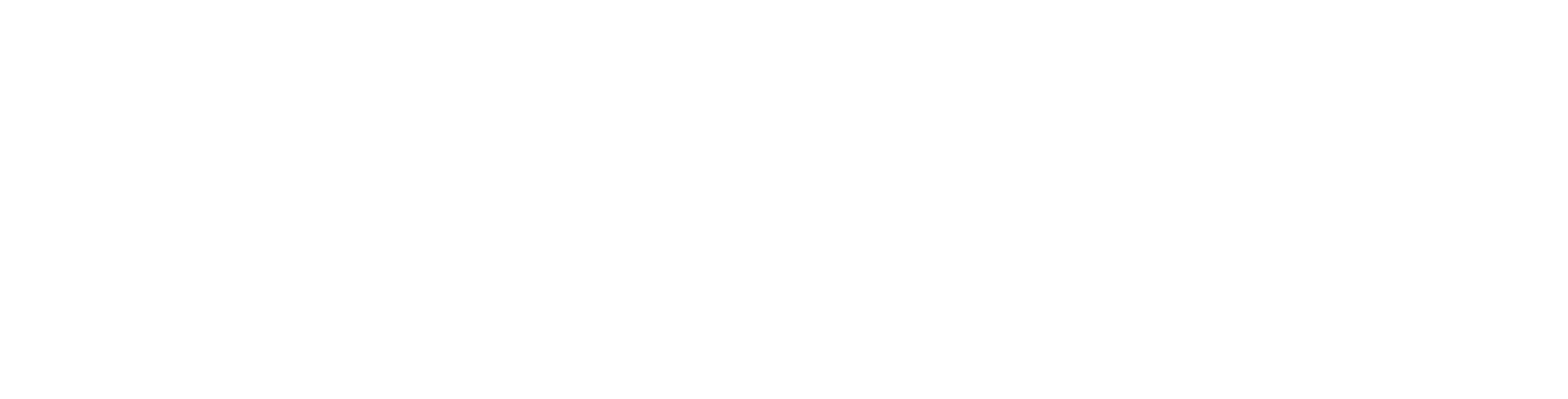 MedCapital