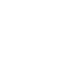 tiktok logo